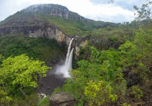 Padre Bernardo Brazil National Park