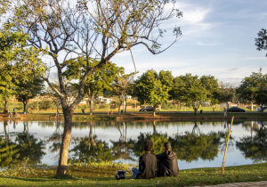 Sao Paulo Brazil Park