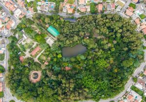 Sao Paulo Brazil Park