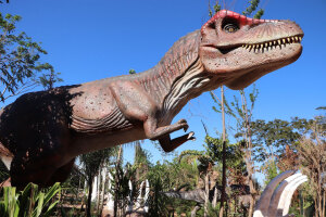 Olimpia Brazil Theme Park