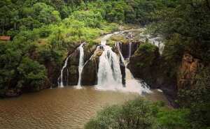 Rio Grande do Sul Brazil Park
