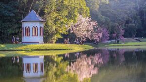 Brazil Country Club