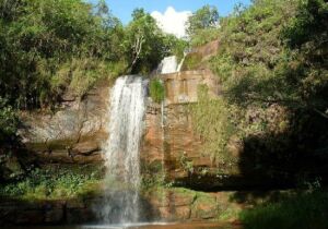 Minas Gerais Brazil Park