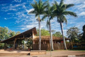 Sao Paulo Brazil Park