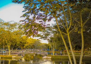 Sao Paulo Brazil Park