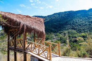 Rio de Janeiro Brazil Park