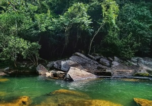 Rio de Janeiro Brazil Waterfall