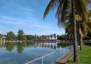 Sao Paulo Brazil Park