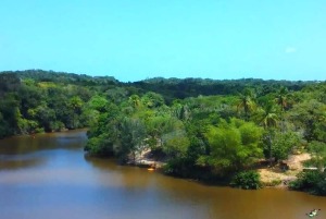 Mata de Sao Joao Brazil Nature Reserve