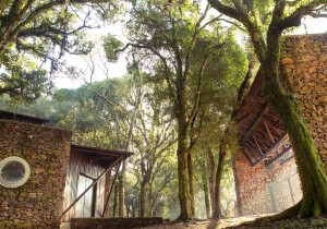Parque Ecologico Municipal Joao Milanez