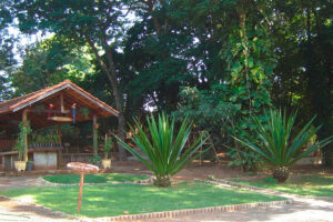 Lins Brazil Forest Reserve