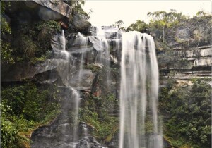 Parana Brazil Waterfall