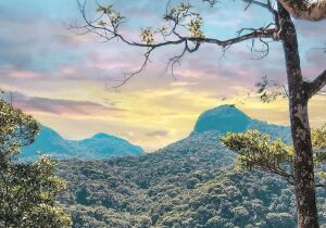 Lajinha Brazil Viewpoint