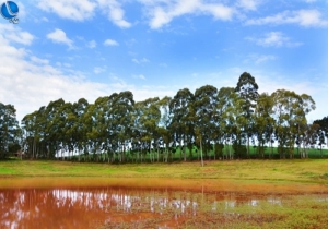 Rio Grande do Sul Brazil Park