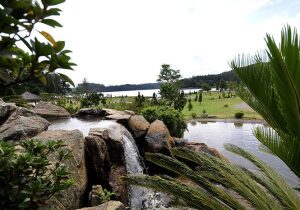Sao Paulo Brazil Park