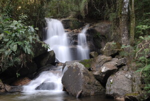 Jundiai Brazil Nature Reserve