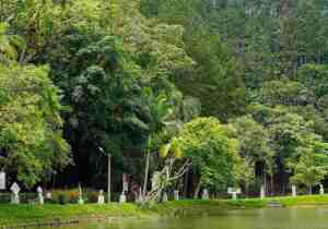 Santa Catarina Brazil Park