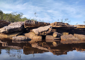 Sao Paulo Brazil Park