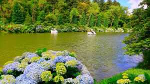 Santa Catarina Brazil Park