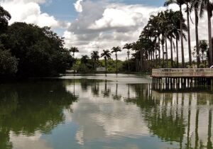 Sao Paulo Brazil Park