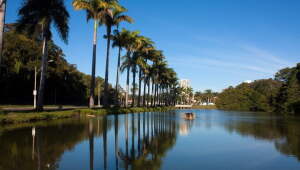 Jaboticabal Brazil Nature Reserve