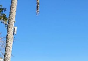 Tres Coqueiros Beach