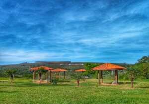 Sao Paulo Brazil Park