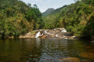 Itaperuna Brazil Nature Reserve