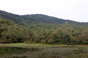 Parana Brazil Park