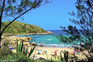 Santa Catarina Brazil Beach