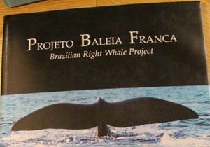 Imbituba Brazil Wildlife Sanctuary