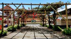 Rio Grande do Sul Brazil Park