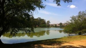 Sao Paulo Brazil Park