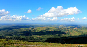 Ibirataia Brazil National Park