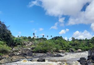 Ibicarai Brazil Nature Reserve