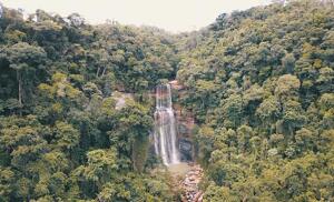 Parana Brazil Waterfall