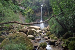 Parana Brazil Park