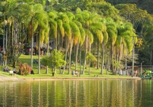 Santa Catarina Brazil Park
