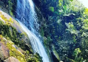 Rio de Janeiro Brazil Park