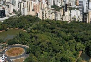 Bosque dos Buritis