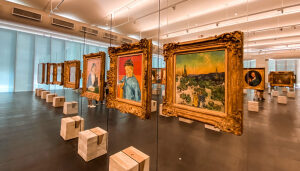 Gaspar Brazil Art Museum