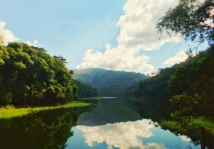 Parque Linear Cantareira