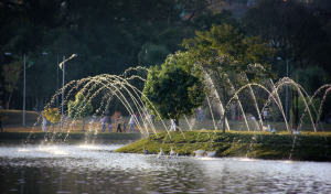 Parana Brazil Park