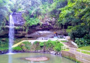 Rio Grande do Sul Brazil Park
