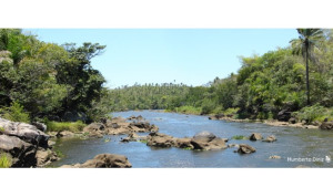 Entre Rios Brazil Nature Reserve