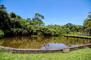 Sao Paulo Brazil Park