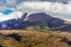 Coromandel Brazil National Park