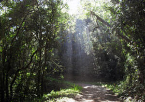 Rio Grande do Sul Brazil Park