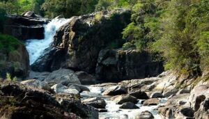 Rio de Janeiro Brazil Waterfall