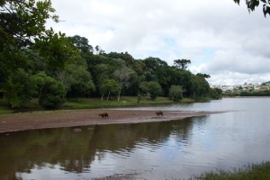 Cascavel Brazil Ski
